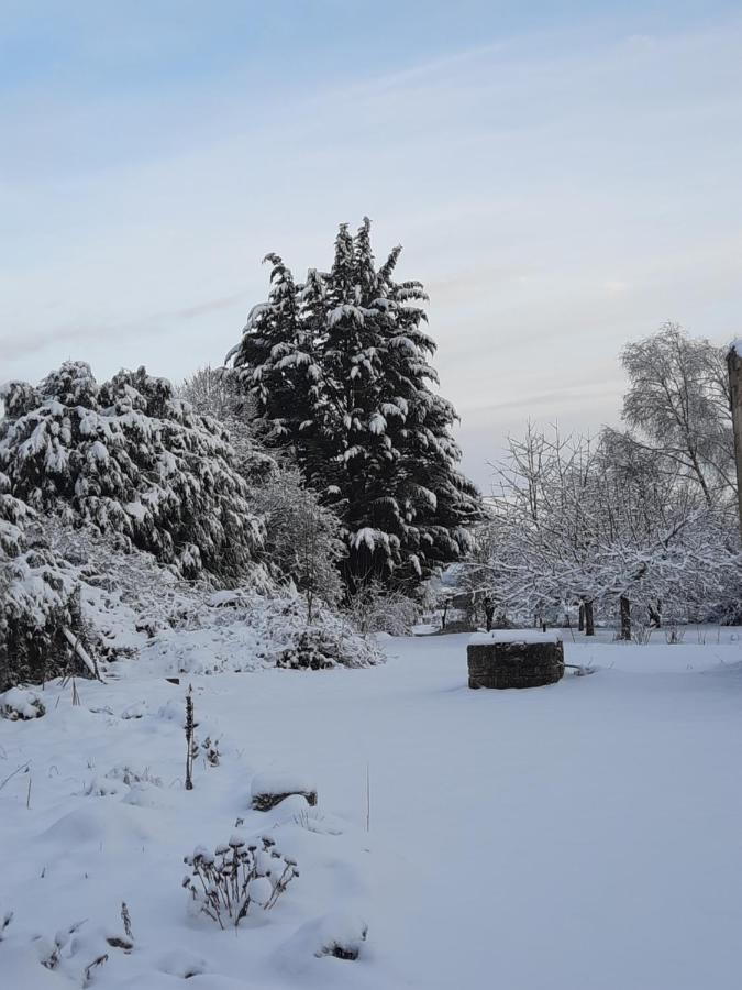 Bed and Breakfast La Grange Aux Dames Geville Экстерьер фото